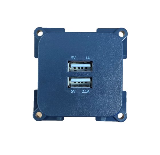POWERPART c-line twin usb socket